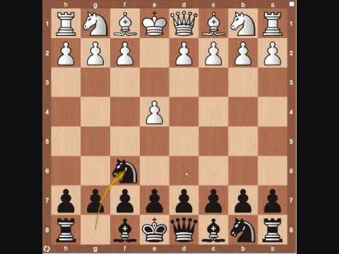 Chess Openings: Alekhine Defense