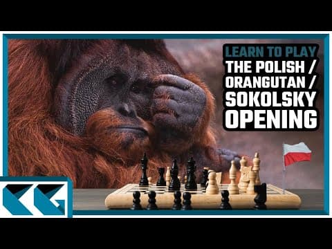 Chess Openings: Learn to Play the Polish Opening / Orangutan Opening / Sokolsky Opening!